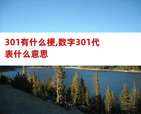 标志301电动转向马达内部故障是什么问题