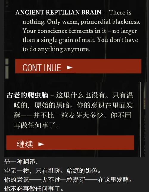 cussicussi基本信息