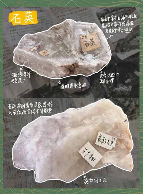 如何查询网站流量来源
