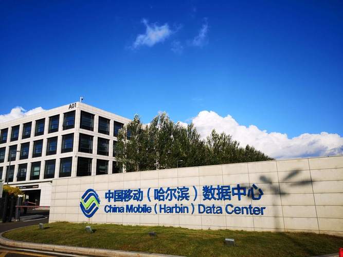 哈尔滨开发多语言自助建站的公司是哪家?