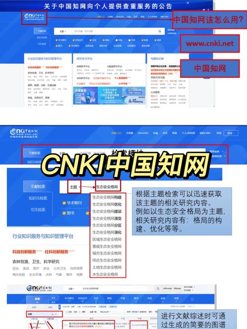 中国大网是干什么的?