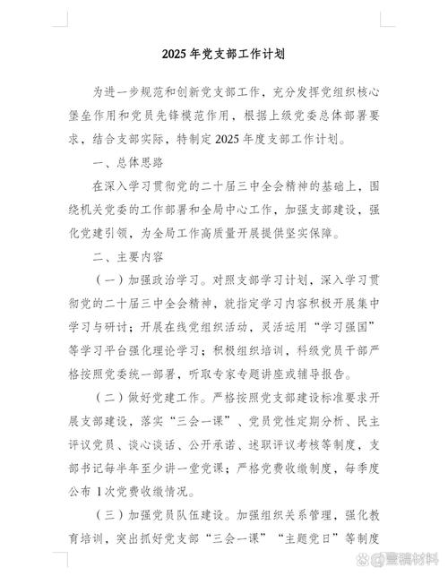 2025南网汕头供电所党支部工作计划