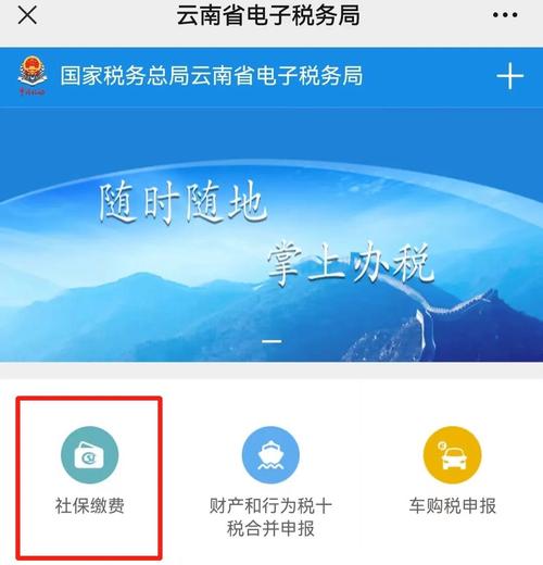 云南社保app什么时候开发的
