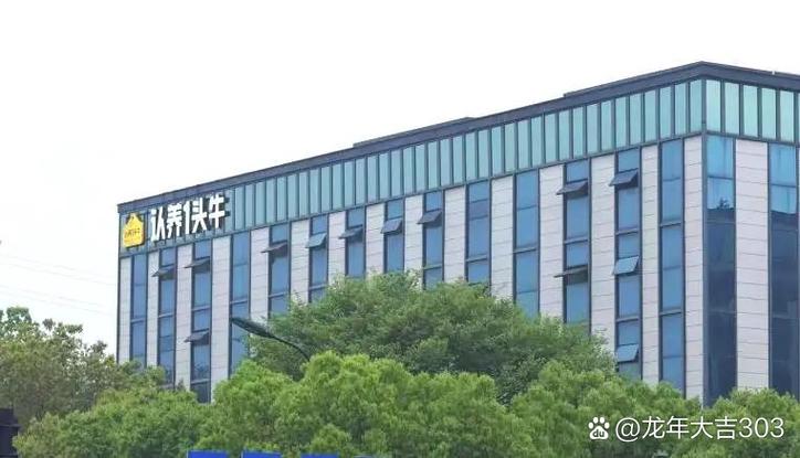 乐清网页制作哪家好