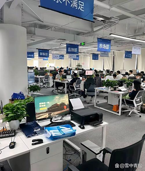 芜湖顶秀网络科技有限公司怎么样?