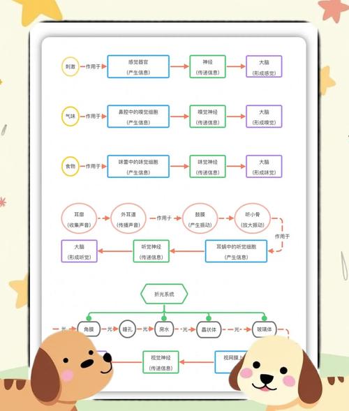怎样建立自己公司的网站?
