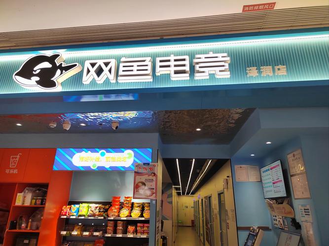 襄樊网络公司，襄樊互联网行业招聘