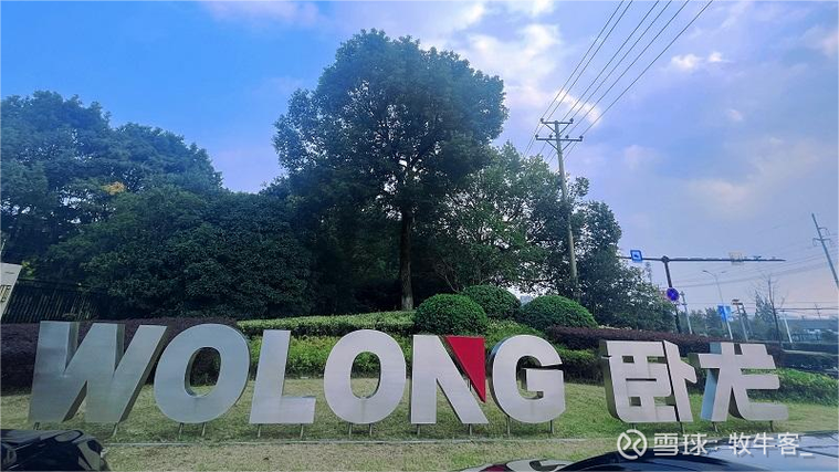 漳州市卧龙网络科技有限公司怎么样?