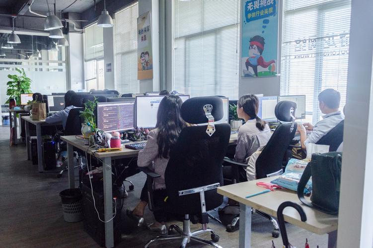 漳州骚客网络科技有限公司怎么样?