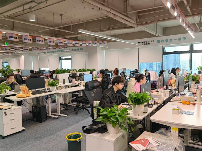 衡水甲客网络科技有限公司怎么样?