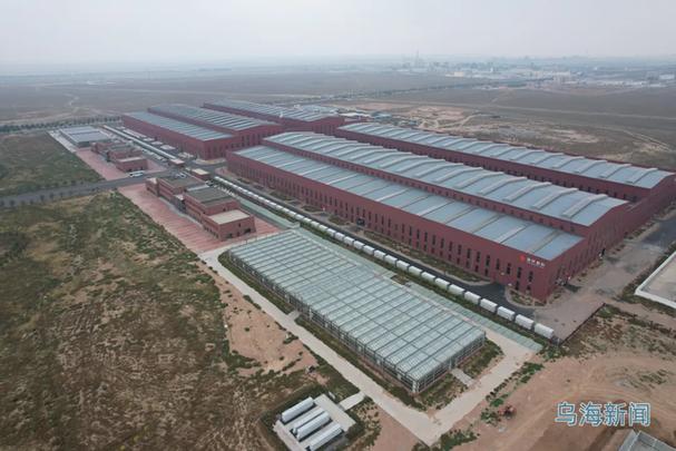 乌海短期投资做什么