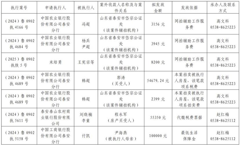 泰安市泰山区人民法院基本内容
