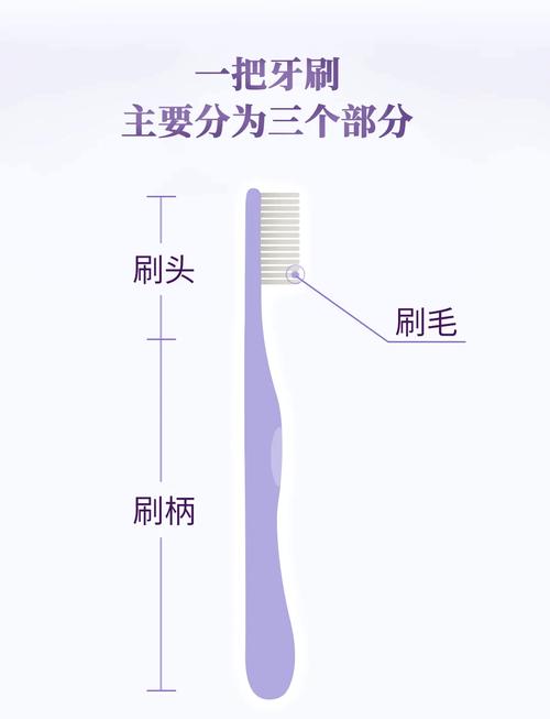 牙刷基本简介