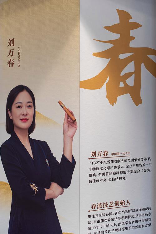 张忠琴公司概述