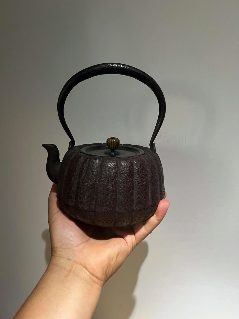 中国比较好的铁壶品牌,国产铸铁壶哪个品牌好?
