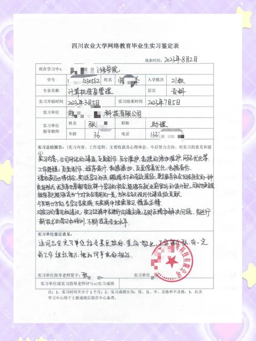 网站设计实训总结