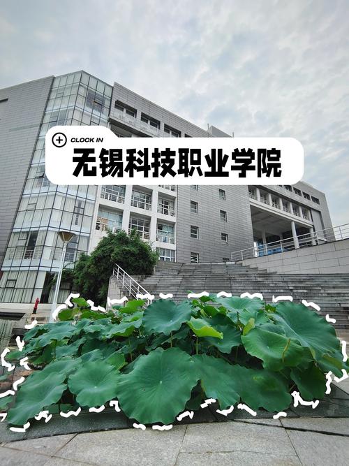无锡多媒体专业哪个学校好