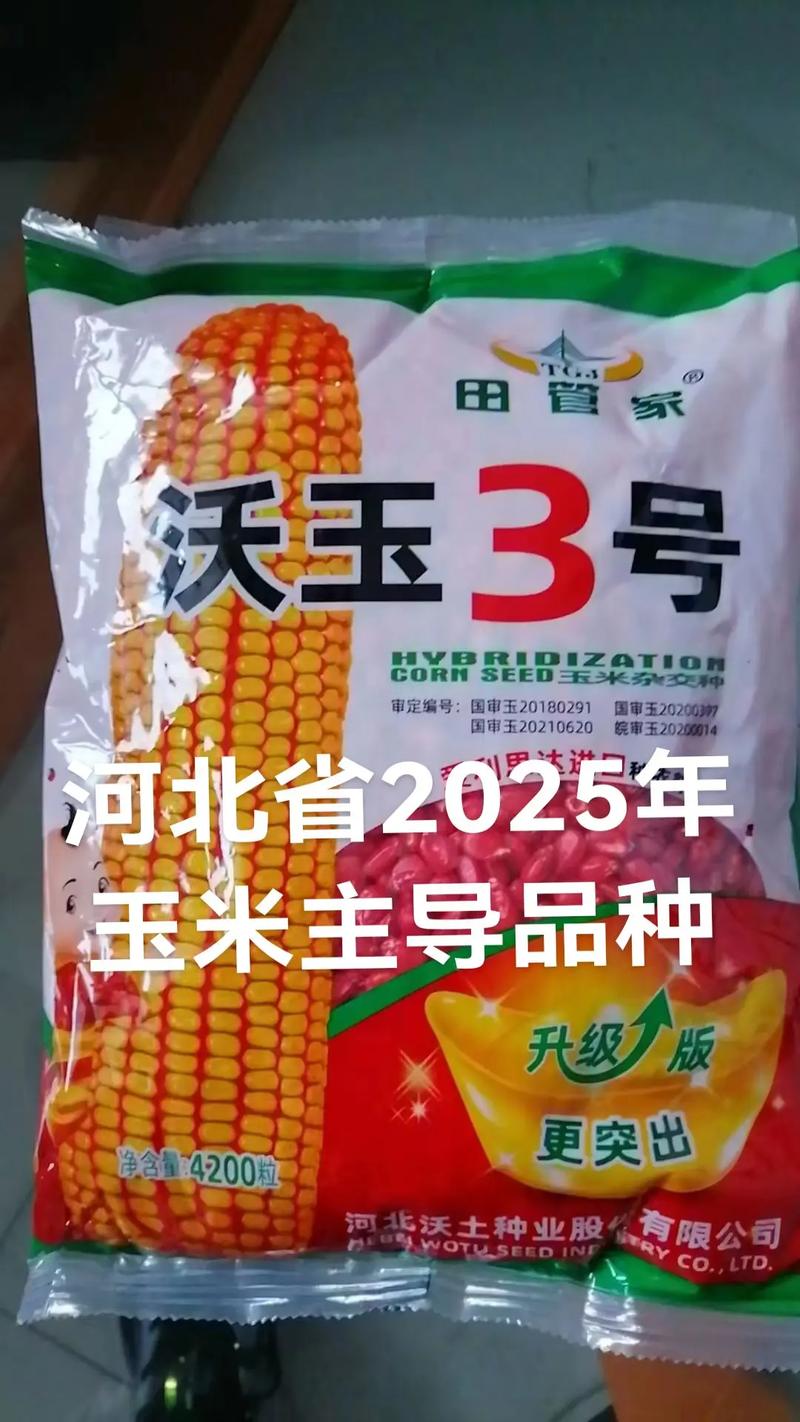 盘古网络真的是百度的推广代理吗?如此差的服务,能申请换一个推广商...