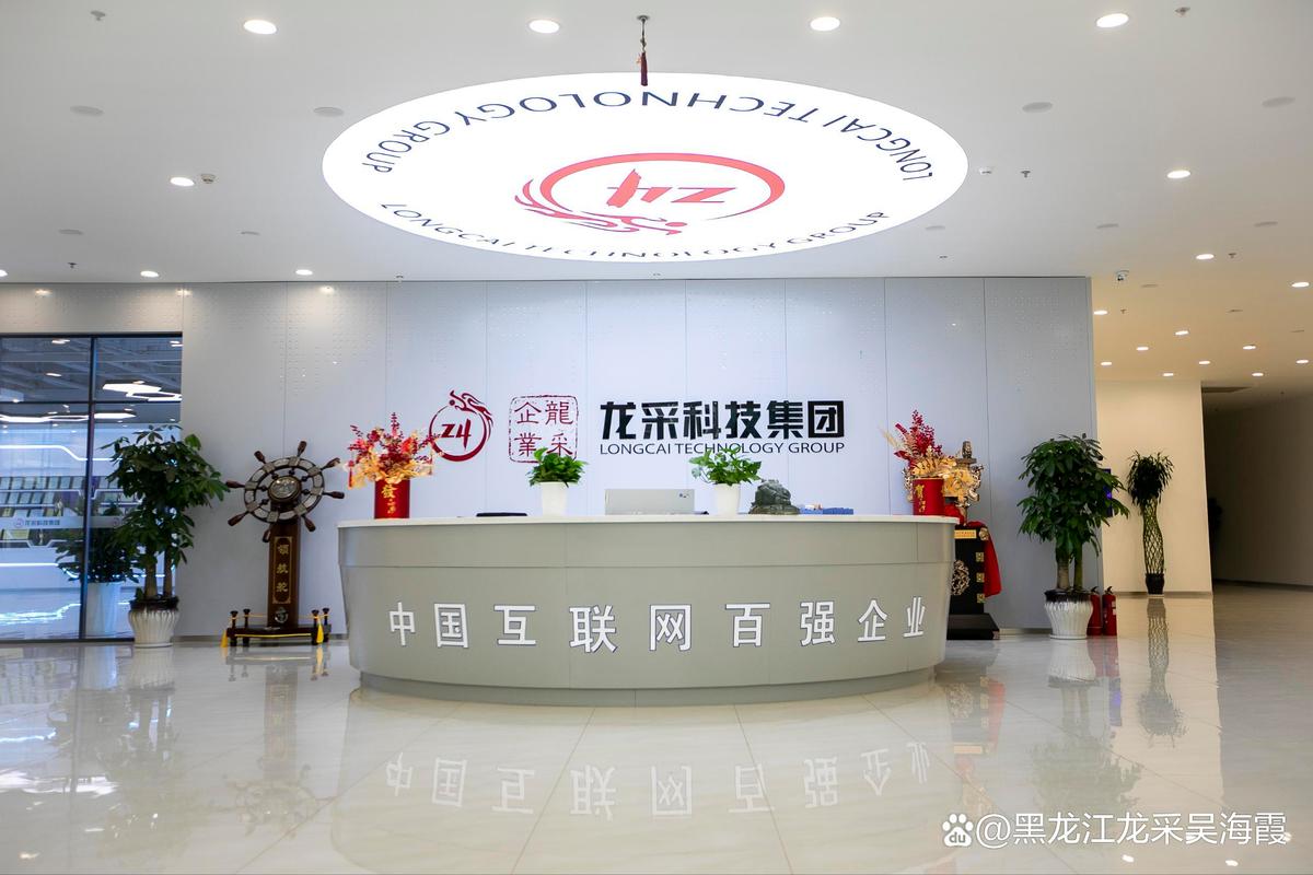 哈尔滨建网站
