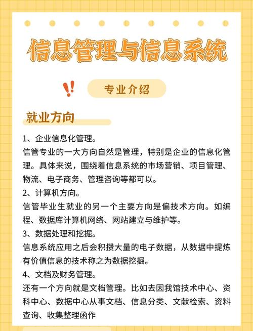 网站建设与管理专业好不好就业