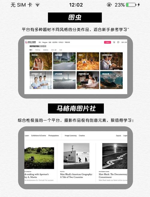网站建设必备素材大揭秘!图片素材及矢量图该去哪找?
