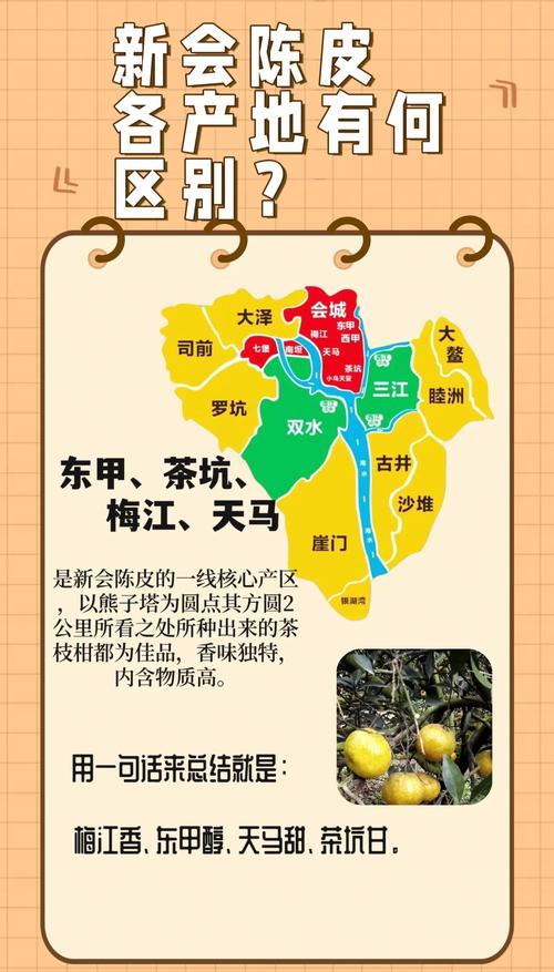 江门网站推广哪家有实力