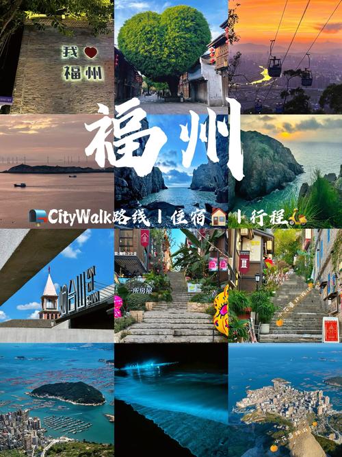 福州市民经常去的网站有哪些