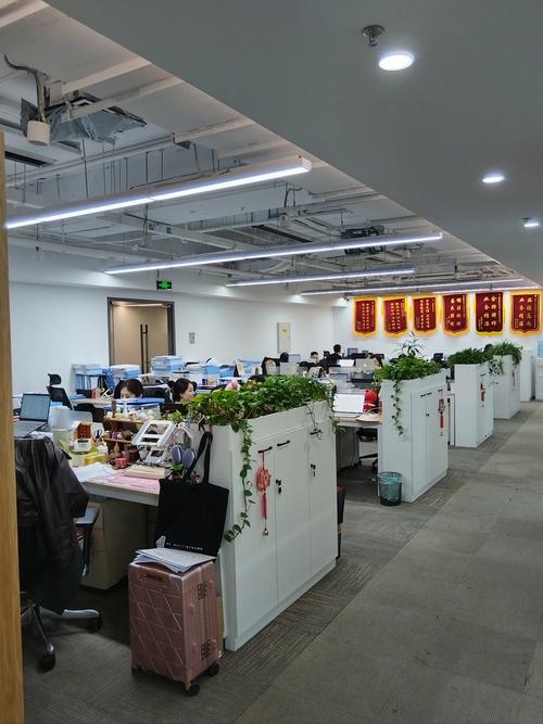 嘉定有那些网络公司?
