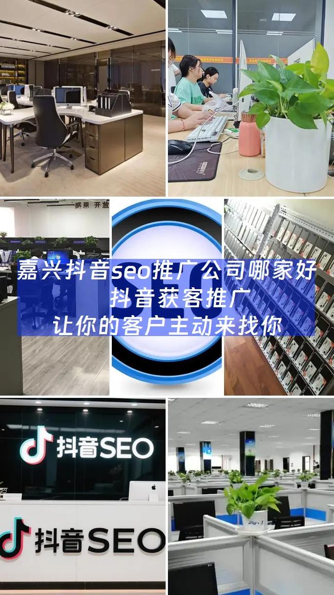 嘉兴seo优化哪家公司做得最全面具体