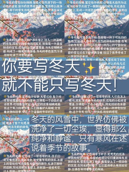 月入N万必知[指定词+权重站]干货、SEO大实话分享【逆冬】