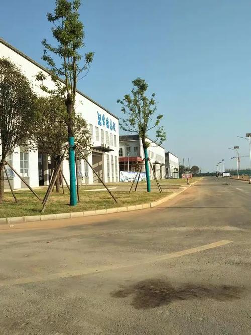 常德新渠道网络信息发展有限公司怎么样