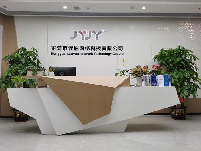 极致网络公司简介