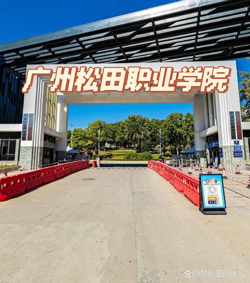 广州松田职业学院的电商技术专业学什么的呀?