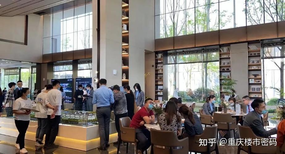 重庆知乎代理商联系方式?