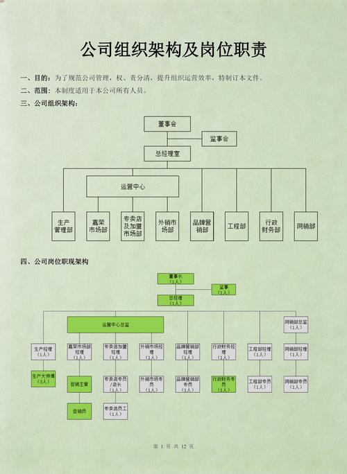 完善公司组织架构