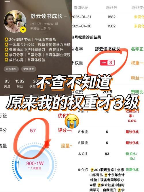 网站百度权重怎么查询