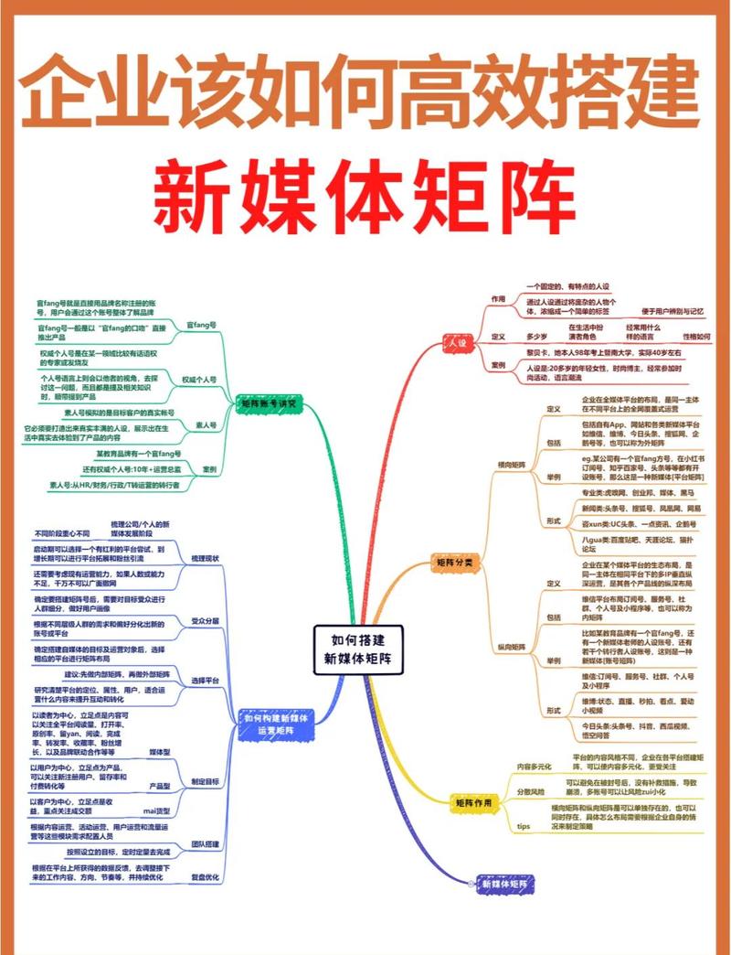 抖音seo优化系统(抖视小通)版本更新