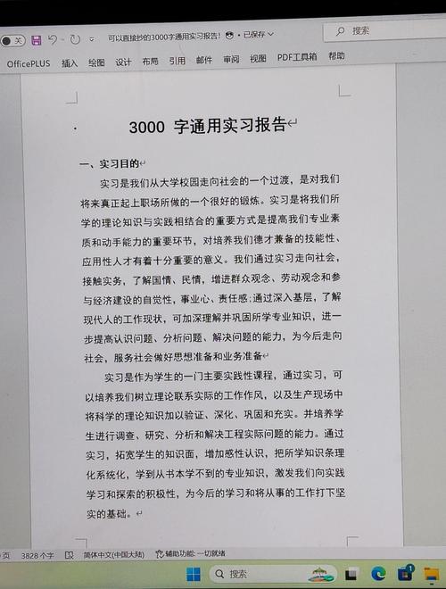 SEO操作员的实习报告内容4000字左右: