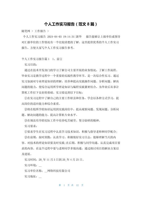 大学生实习报告:seo实习总结范文