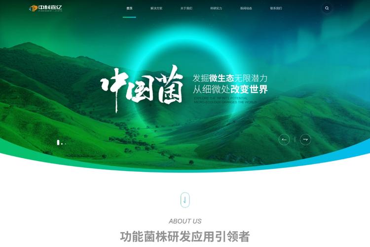 潍坊做网站推广比较好是公司都哪几家?