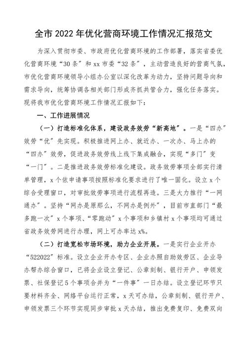 市公安局优化营商环境半年工作总结