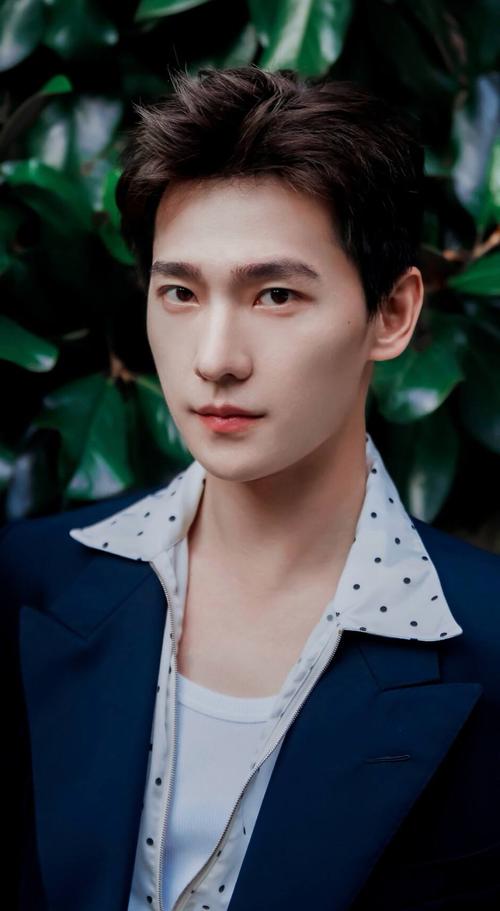 SEO杨洋的个人经历