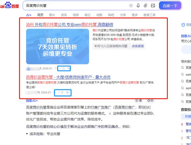竞价seo是什么意思(什么是竞价)