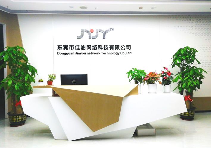 极致网络公司简介