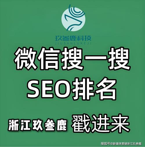 国内做seo比较好的公司