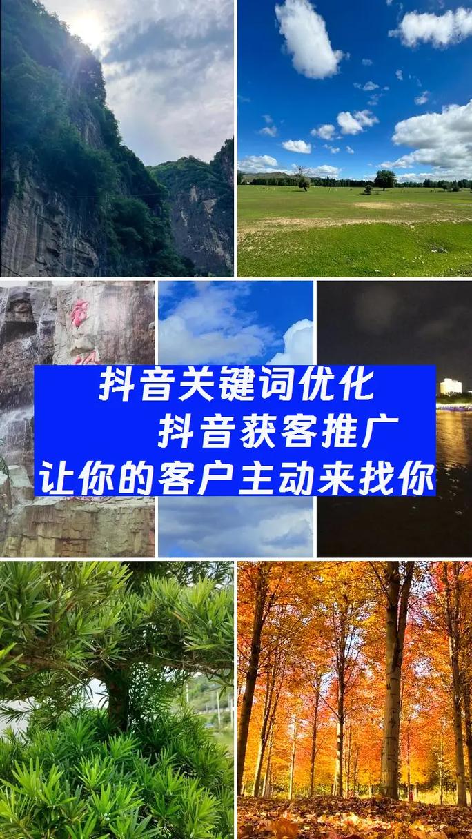 抖音SEO短视频排名系统哪家好?