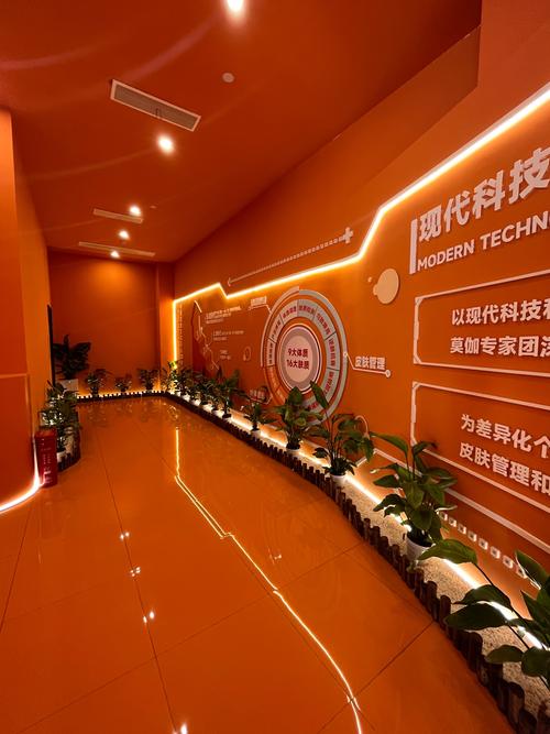 石家庄乘航网络科技有限公司关于我们