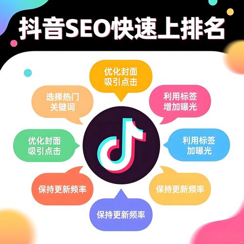 seo快速排名