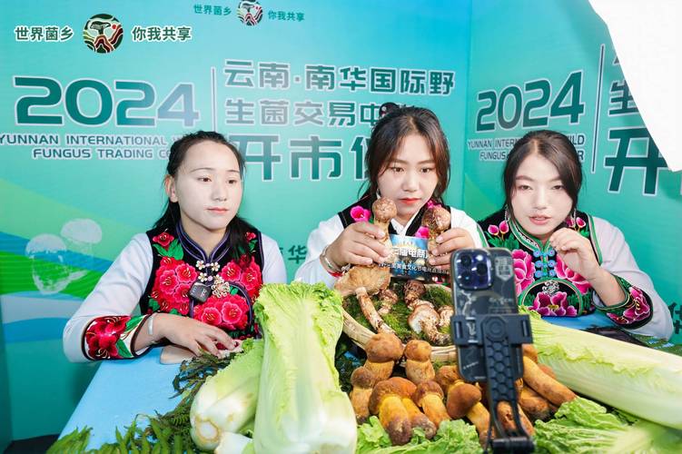 在云南怎么在网络上做好产品推广呢?