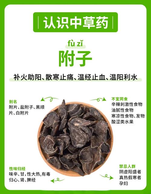 附子入药时的SEO思考问题有哪些呢?
